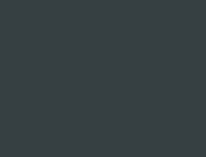 gris anthracite sablé mat RAL 7016