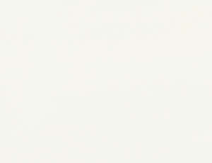 blanc RAL 9010 brillant