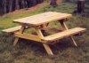 ENSEMBLE TABLE + BANCS picnic EN BOIS